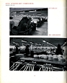 19510000 RALLI BROTHERS LIMITED 40